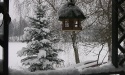 Zimowe widoki_10