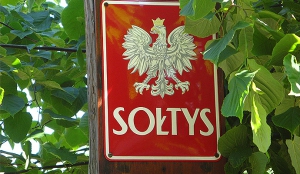 Wybory uzupełniające na sołtysa w Sołectwie Rokitki