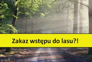 Uwaga! - zakaz wstępu do lasu!