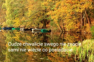 Moje Bory 2020
