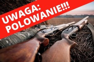 Polowania zbiorowe 2026&ndash;2027 &ndash; terminy i sołectwa