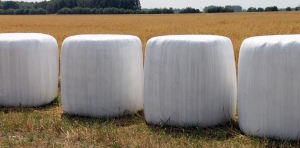 Ogłoszenie dla rolnik&oacute;w