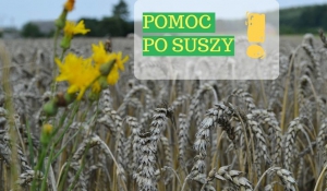Wnioski suszowe