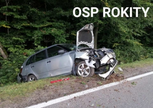 Wypadek drogowy na trasie Rokity &ndash; Dolina Jadwigi