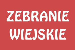 Zebranie Sołectwa Rokity